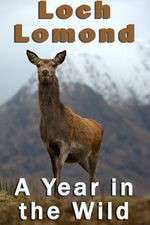 Watch Loch Lomond: A Year in the Wild Sflix