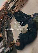 Watch Flatbush Misdemeanors Sflix