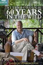 Watch Attenborough 60 Years in the Wild Sflix