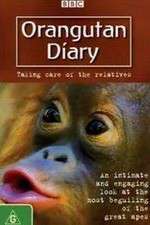 Watch Orangutan Diary Sflix