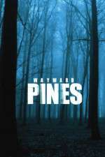 Watch Wayward Pines Sflix