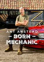 Watch Ant Anstead: Born Mechanic Sflix