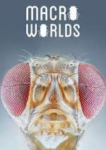 Watch Macro Worlds Sflix
