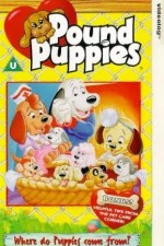Watch Pound Puppies Sflix