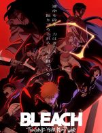 Watch Bleach: Thousand-Year Blood War Sflix