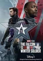 Watch The Falcon and The Winter Soldier Sflix