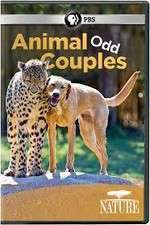 Watch Animal Odd Couples Sflix