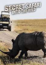 Watch Secret Safari: Into the Wild Sflix