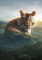 Watch Asia Sflix