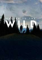 Watch Called to the Wild Sflix