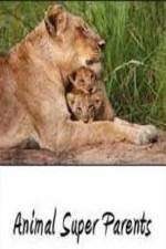 Watch Animal Super Parents Sflix