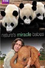 Watch Natures Miracle Babies Sflix