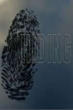 Watch Hiding Sflix