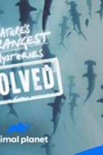 Watch Nature\'s Strangest Mysteries: Solved Sflix