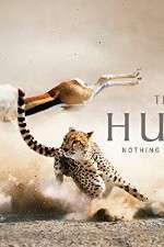 Watch The Hunt Sflix