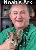 Watch Noah's Ark Sflix