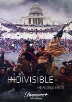 Watch Indivisible: Healing Hate Sflix