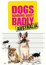 Watch Dogs Behaving (Very) Badly Australia Sflix