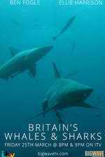 Watch Britain's Whales and Sharks Sflix