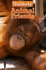 Watch Unlikely Animal Friends Sflix