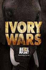 Watch Ivory Wars Sflix