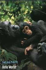 Watch Hello World! Sflix