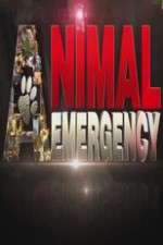 Watch Animal Emergency Sflix