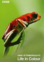 Watch Attenborough's Life in Colour Sflix