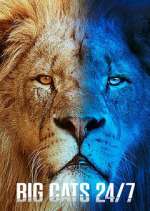 big cats 24/7 season 2 episode 6 tv poster