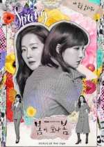 Watch Spring Turns to Spring Sflix