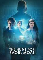 Watch The Hunt for Raoul Moat Sflix