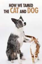 Watch How We Tamed the Cat and Dog Sflix