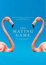 Watch The Mating Game Sflix