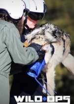 Watch Wild Ops Sflix