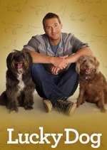Watch Lucky Dog Sflix
