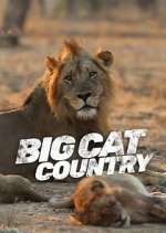 Watch Big Cat Country Sflix