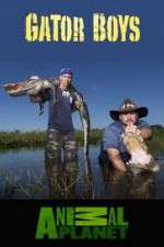 Watch Gator Boys Sflix