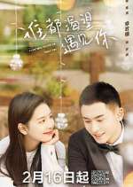 Watch Everyone Wants to Meet You Sflix