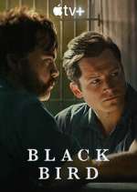 Watch Black Bird Sflix