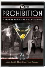Watch Prohibition Sflix