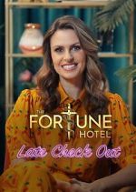 Watch Late Check Out Sflix