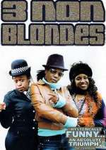 Watch 3 Non-Blondes Sflix