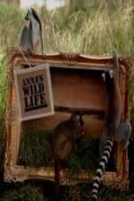 Watch Anna's Wild Life Sflix