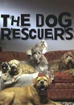 Watch The Dog Rescuers with Alan Davies Sflix