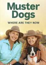 Watch Muster Dogs: Where Are They Now? Sflix