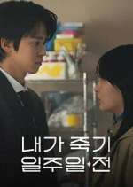 Watch Way Back Love Sflix