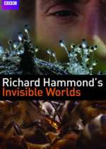 Watch Richard Hammond's Invisible Worlds Sflix
