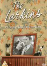 Watch The Larkins Sflix
