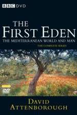 Watch The First Eden Sflix
