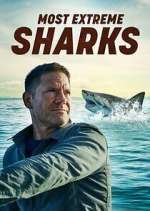 Watch Most Extreme Sharks Sflix